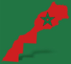 WhatsApp Image 2025-12-18 at 13.01.37